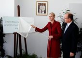 Similar image