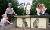 Similar image