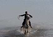 Similar image