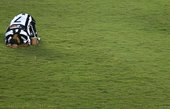 Similar image