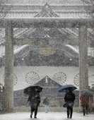 Similar image