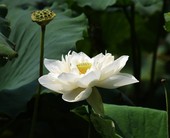 Similar image