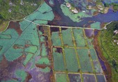 Similar image