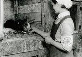Similar image