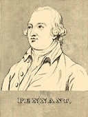 Similar image