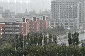 Similar image
