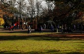 Similar image
