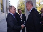 Similar image