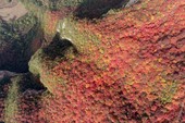 Similar image