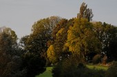 Similar image