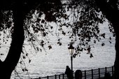 Similar image