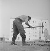 Similar image