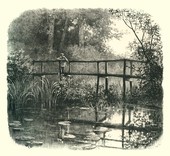 Similar image