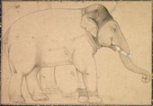 Similar image