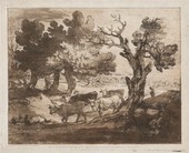 Similar image