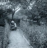 Similar image