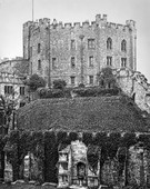 Similar image