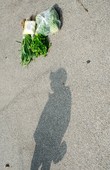 Similar image