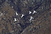 Similar image