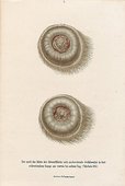 Similar image