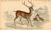 Similar image