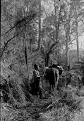 Similar image