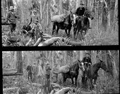 Similar image