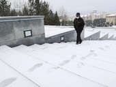 Similar image