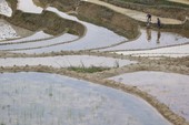 Similar image