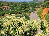 Similar image