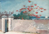 Similar image