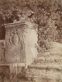 Similar image