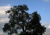 Similar image