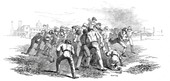 Similar image