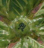 Similar image