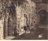 Similar image