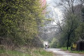 Similar image