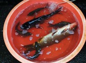 Similar image