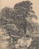 Similar image