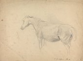 Similar image