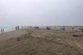 Similar image