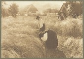 Similar image
