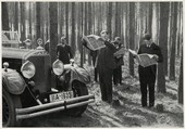 Similar image