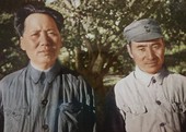 Similar image