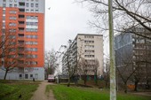 Similar image