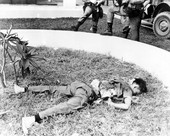 Similar image