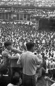 Similar image