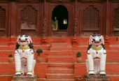 Similar image