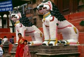 Similar image