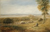 Similar image